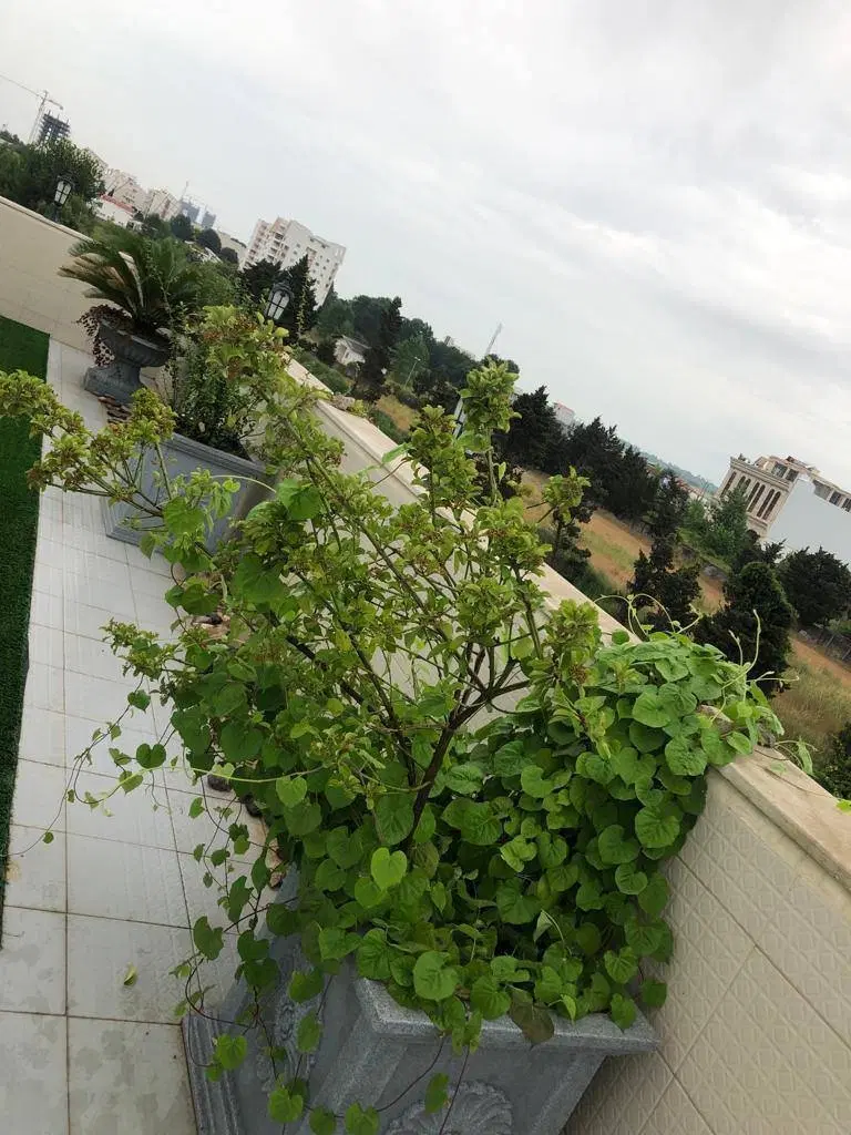 ویلانریبلکس_ ۵ خواب_ روف گاردن _ شخصی ساز_ ساحلی