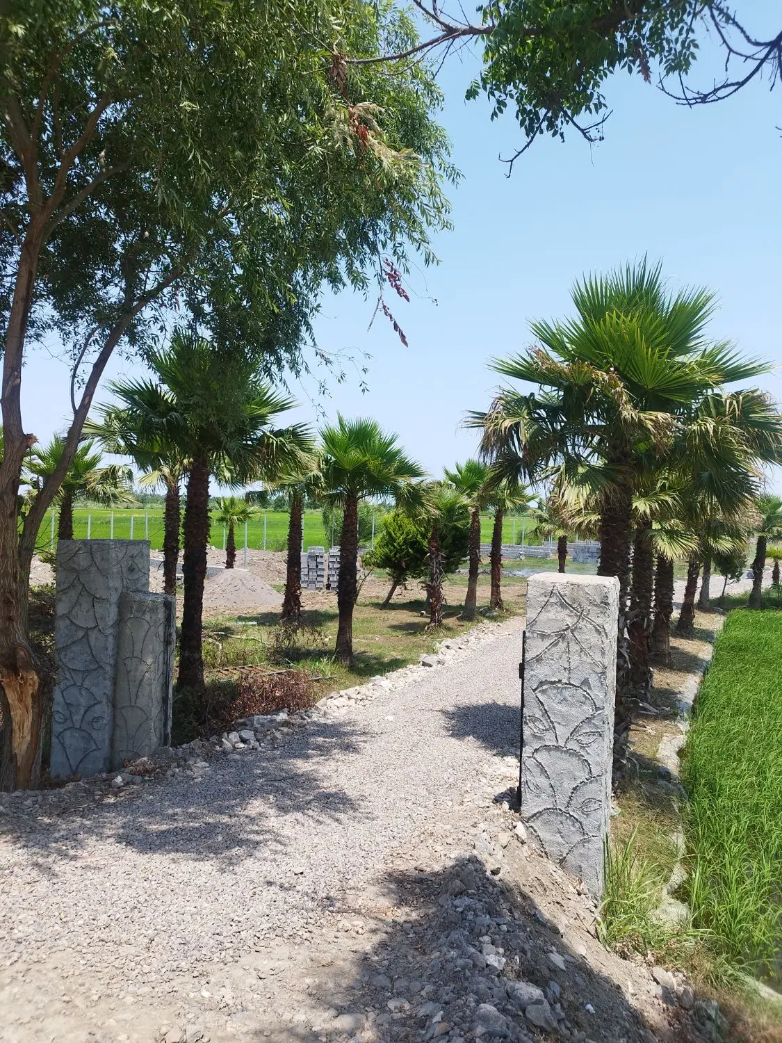 زمین شهرکی .بیشه کلا. آبندان بزگ-281متر