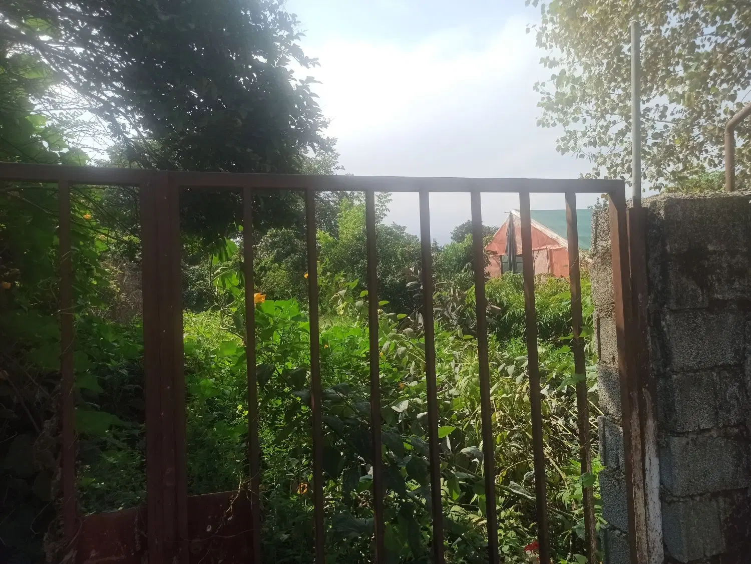 فروش زمین