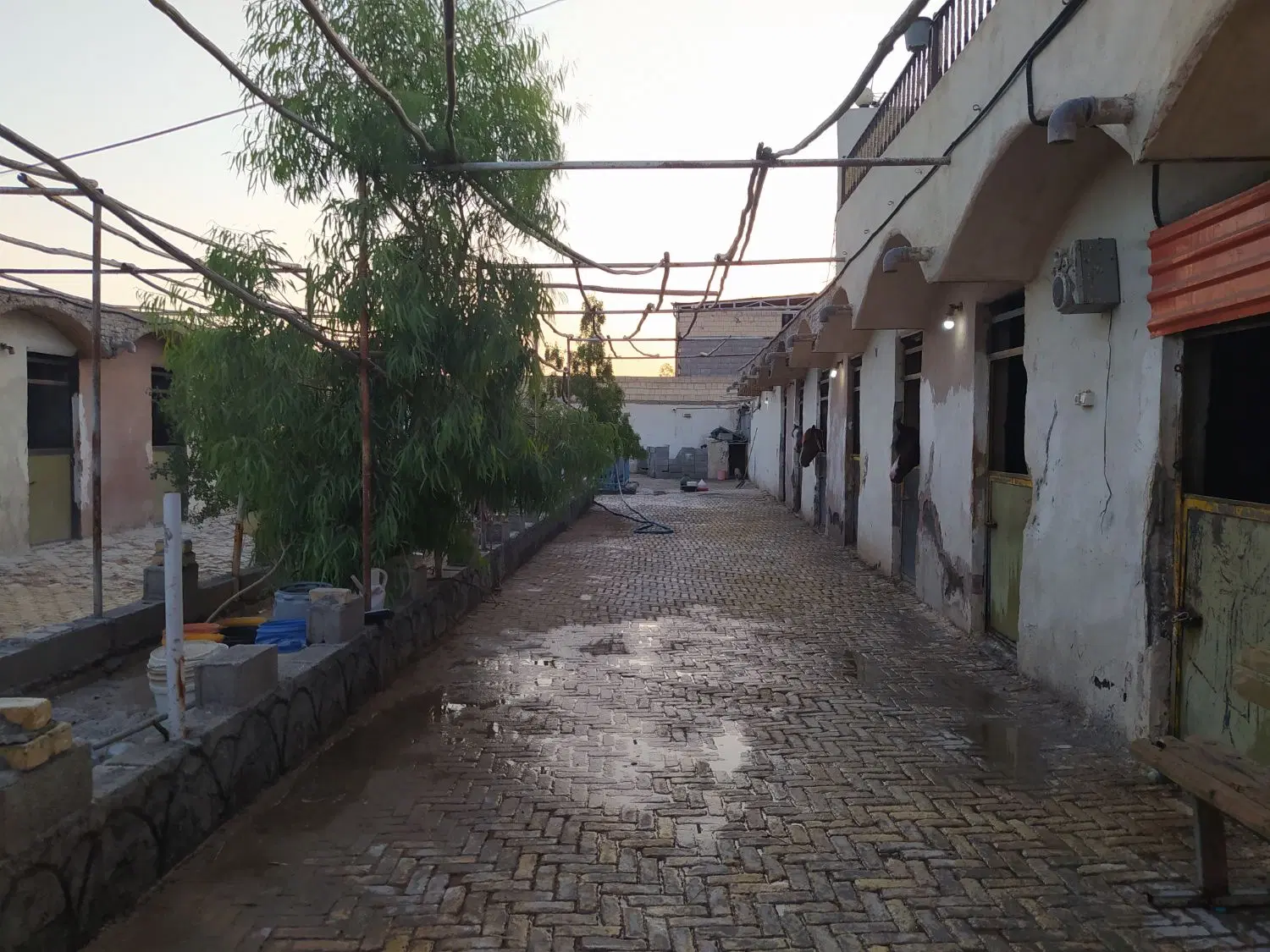 باشگاه اسطبل