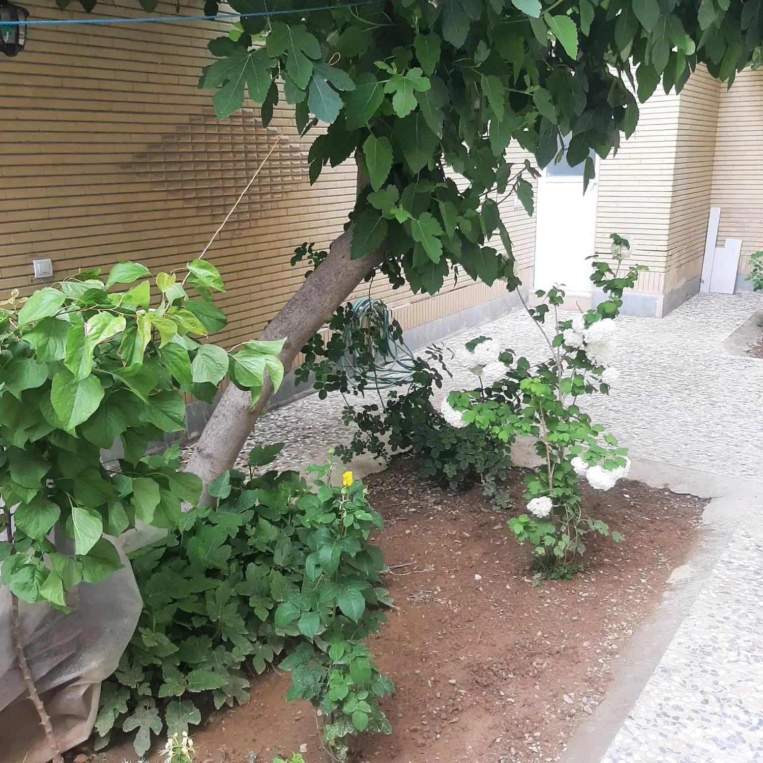 اپارتمان سپاه خانه اصفهان