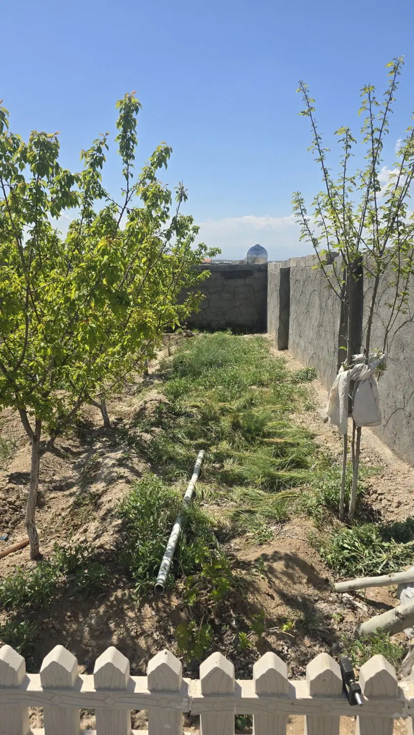 باغ ۵۰۰ متری جاده گوارشک روستای گندم خواب فرمانیه