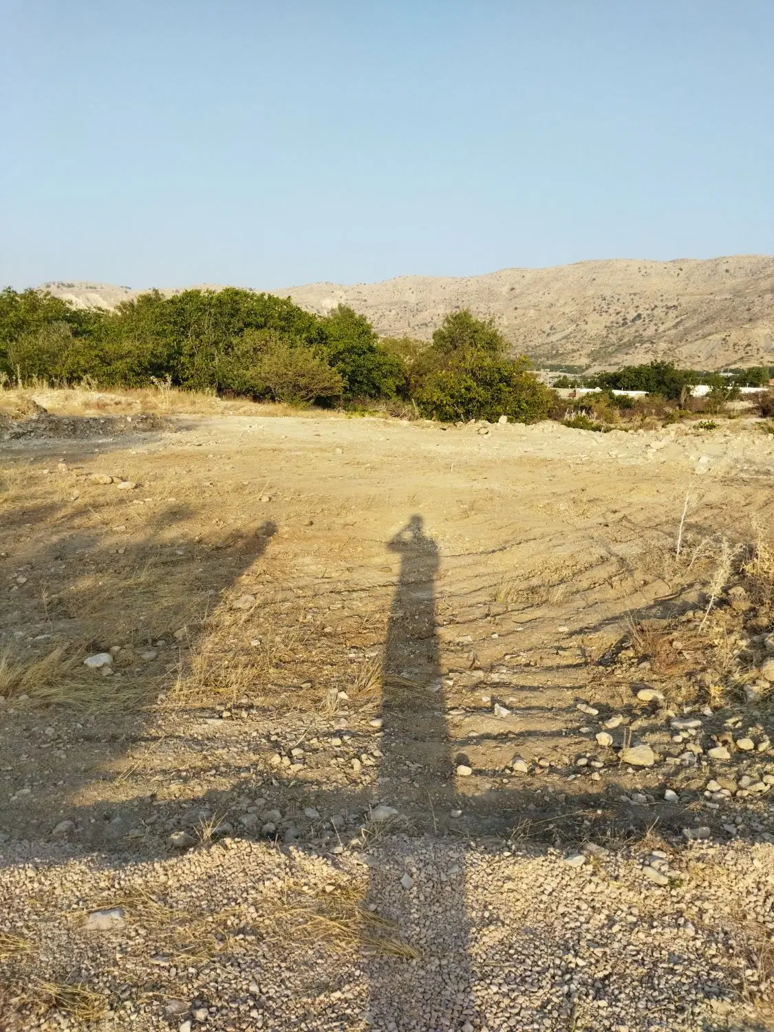 فروش زمین جای خونه