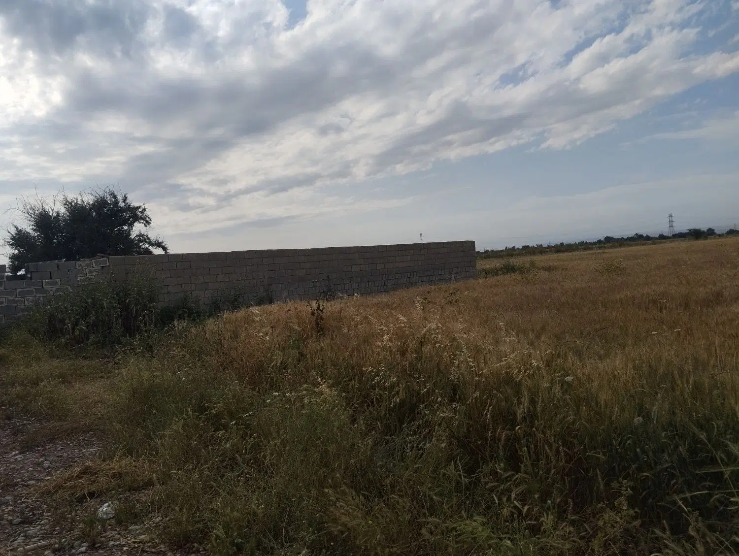 زمین مسکونی مدرس