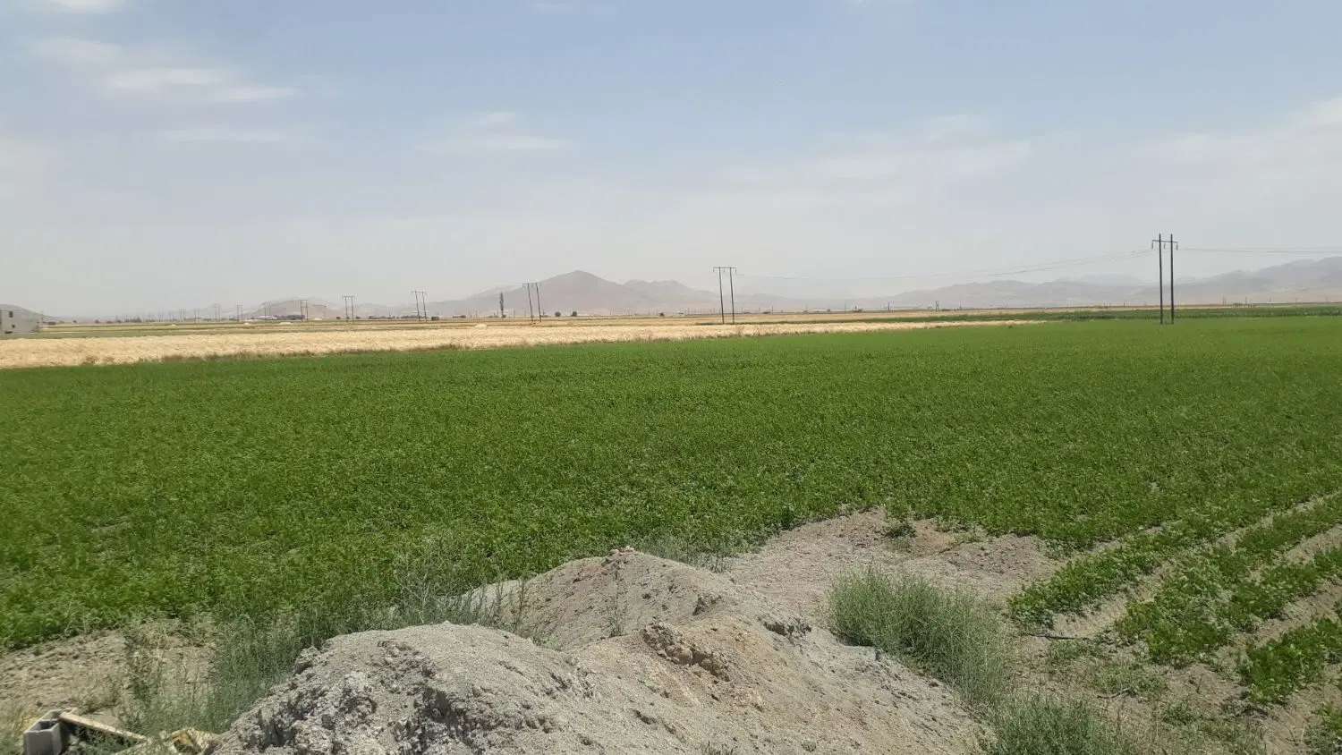 زمین 15_000 متر برای باغچه با سند در شهر ازنا