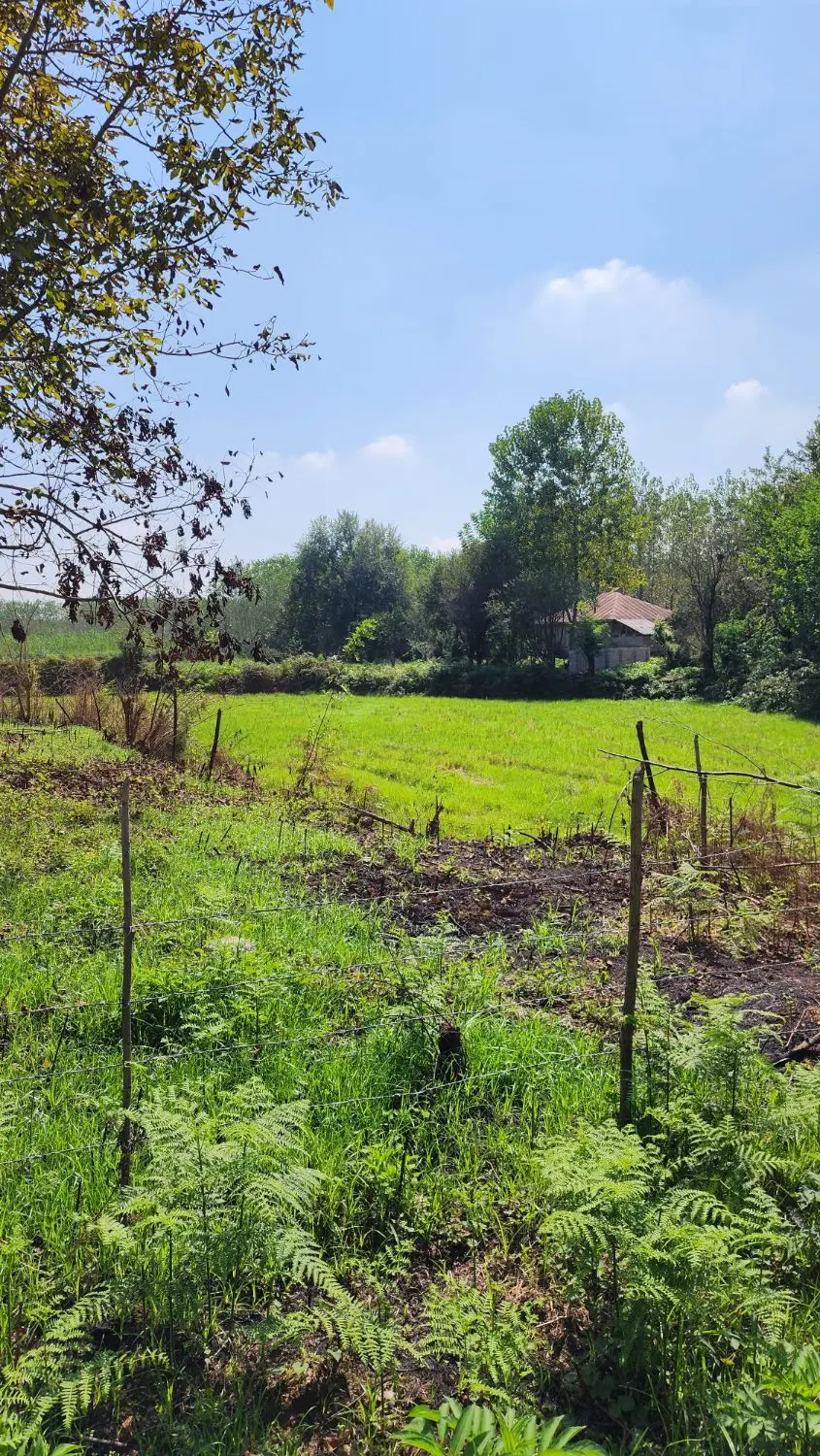 زمین داخل طرح هادی