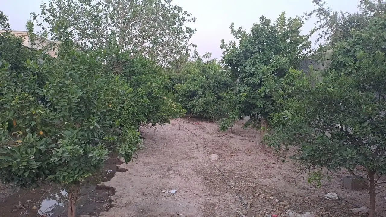 فروش باغچه ۵۰۰ متری پشت تکین