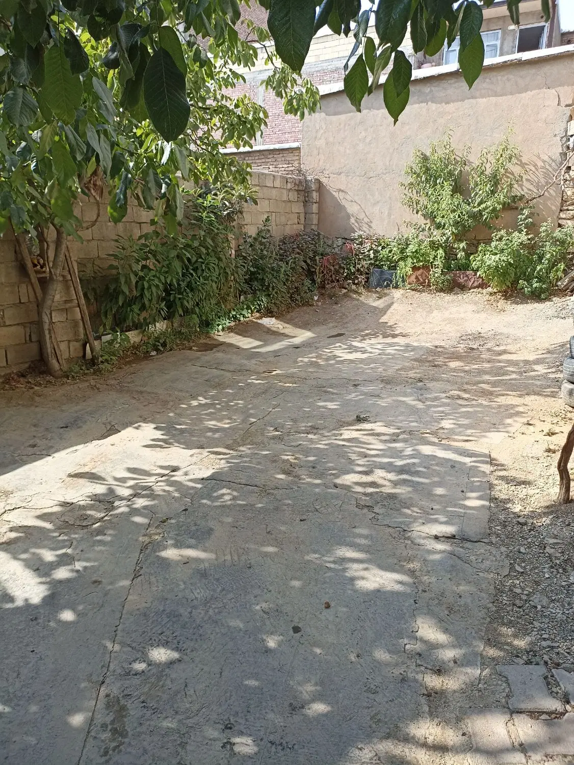 سوئیت اجاره ای
