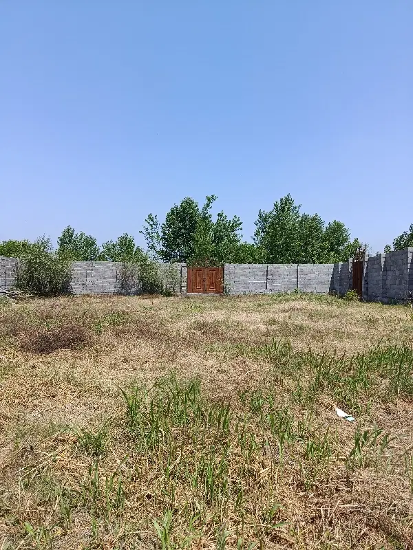 چند قطعه زمین در گلسار آلمان با پرداخت شرایطی