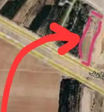 زمین کشاورزی