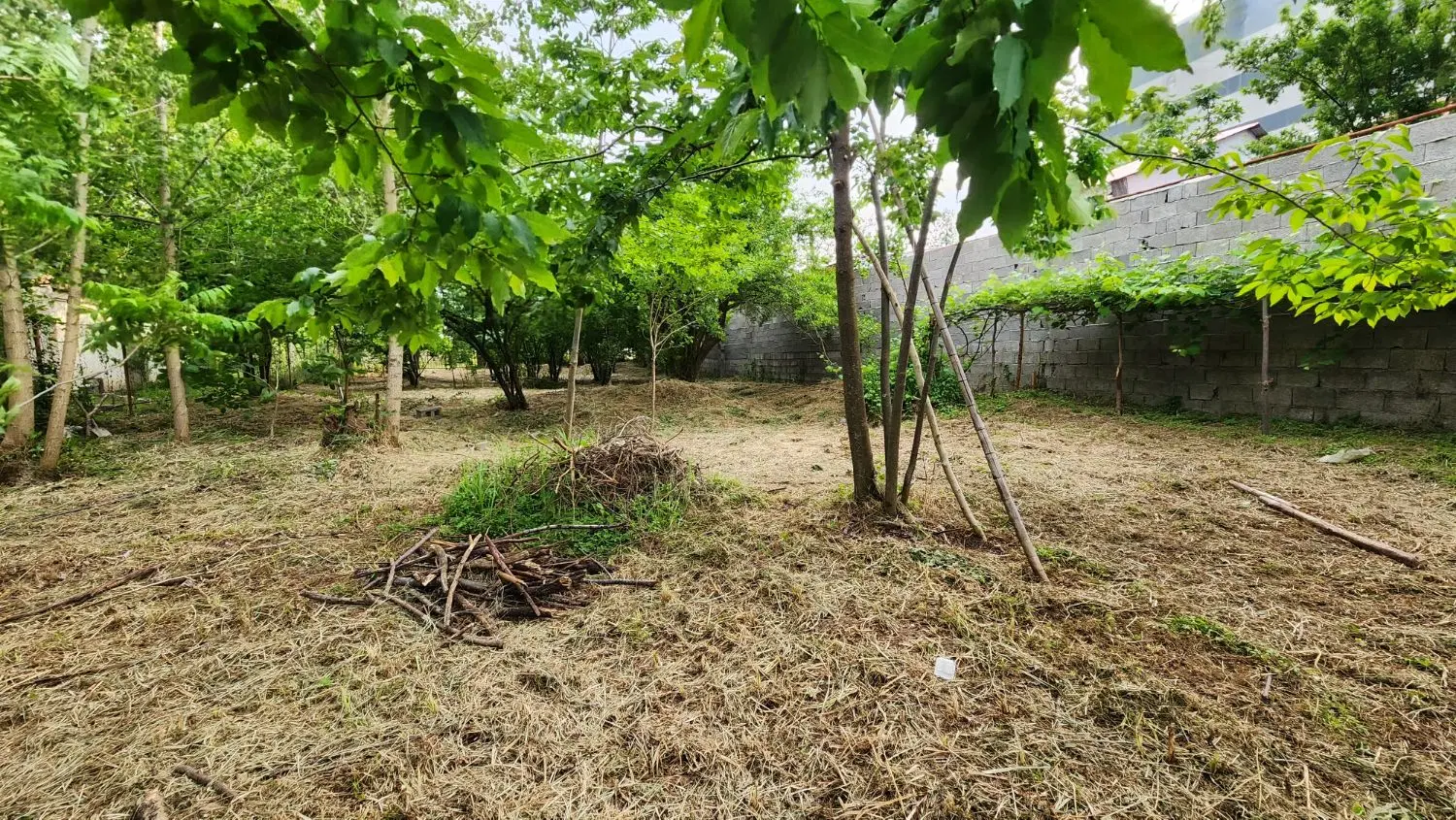 زمین مسکونی