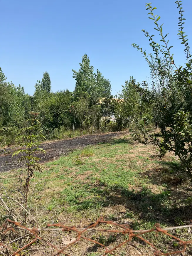 زمین به متراژ ۲۱۵ متر مسکونی هودول