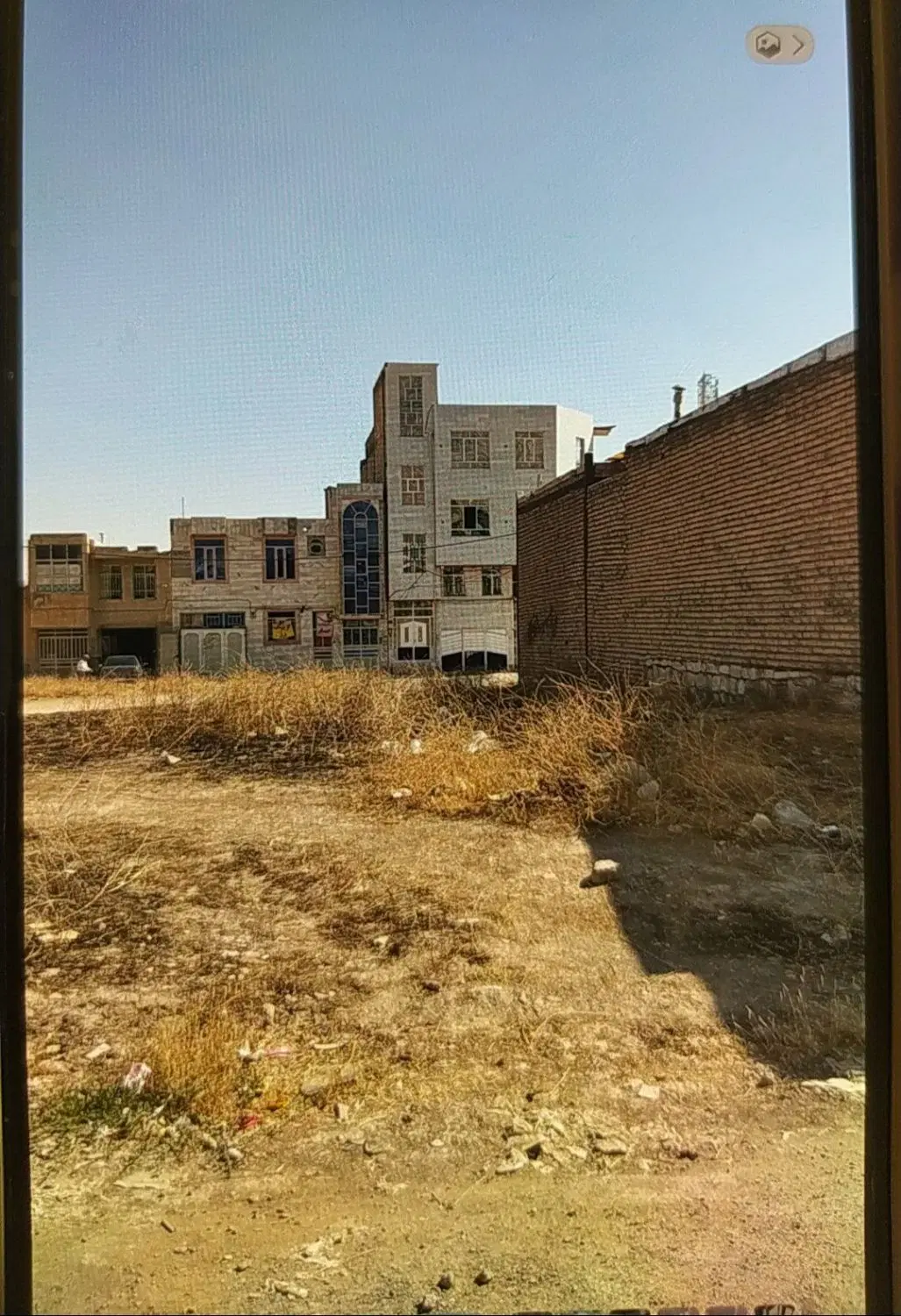 زمین تک برگ سنددار