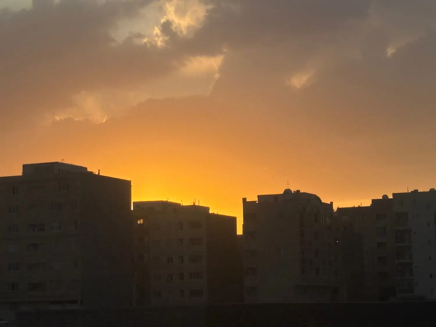 همخونه