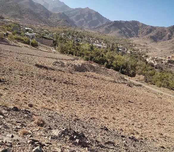 زمین فروشی اسحاق آباد