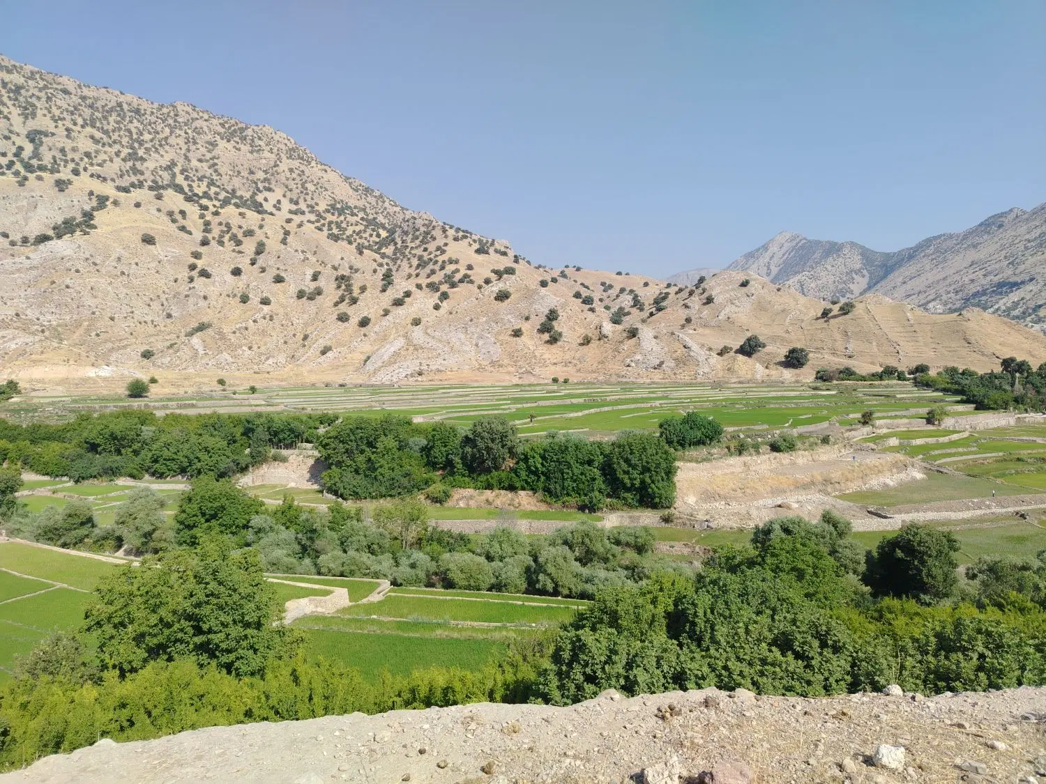 زمین مسکونی پروانه دار