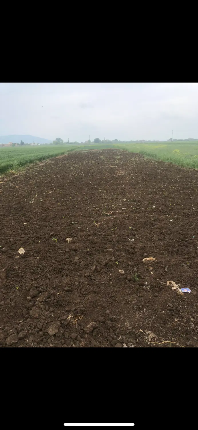 زمین کشاورزی