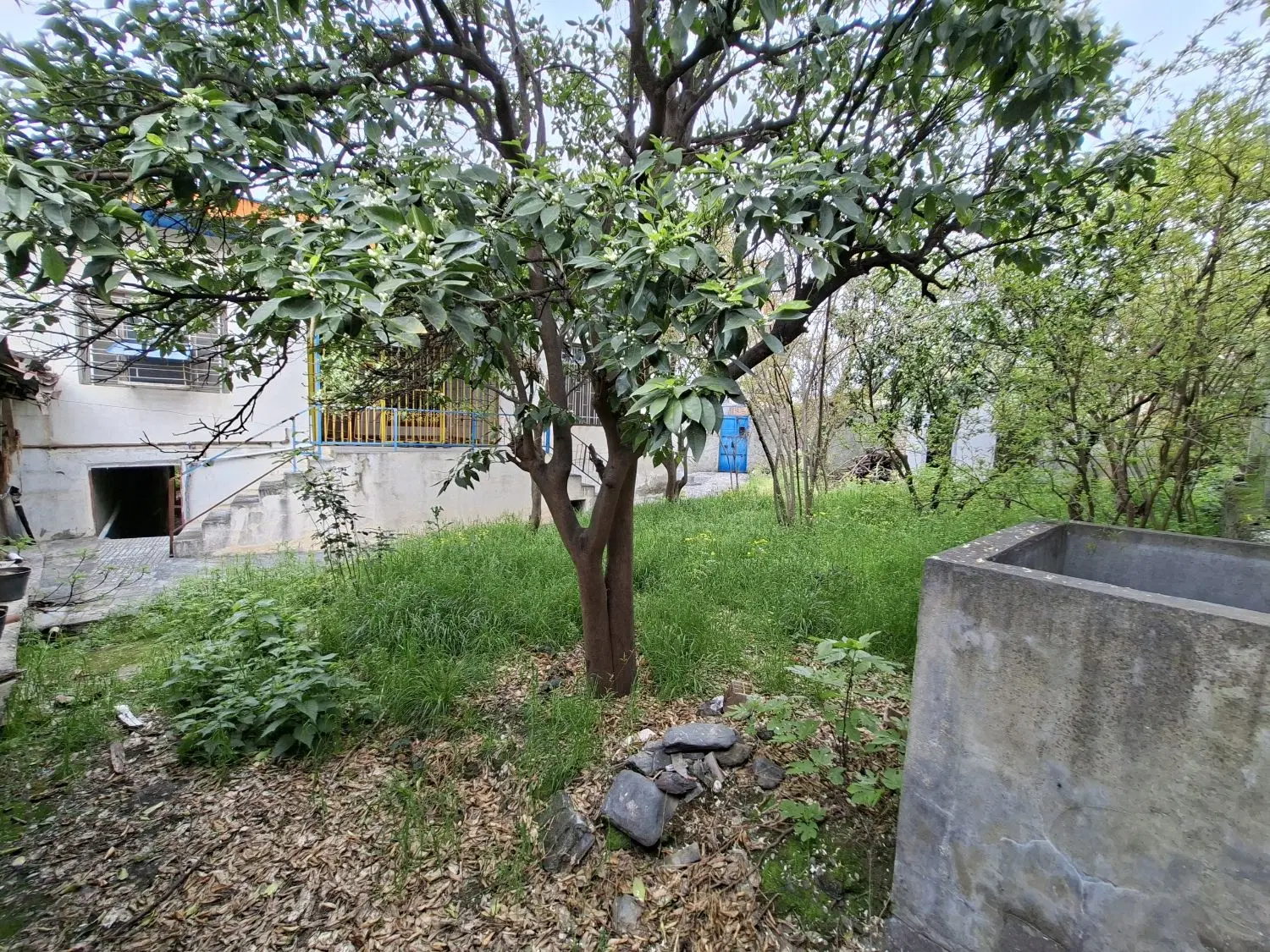 زمین و منزل مسکونی