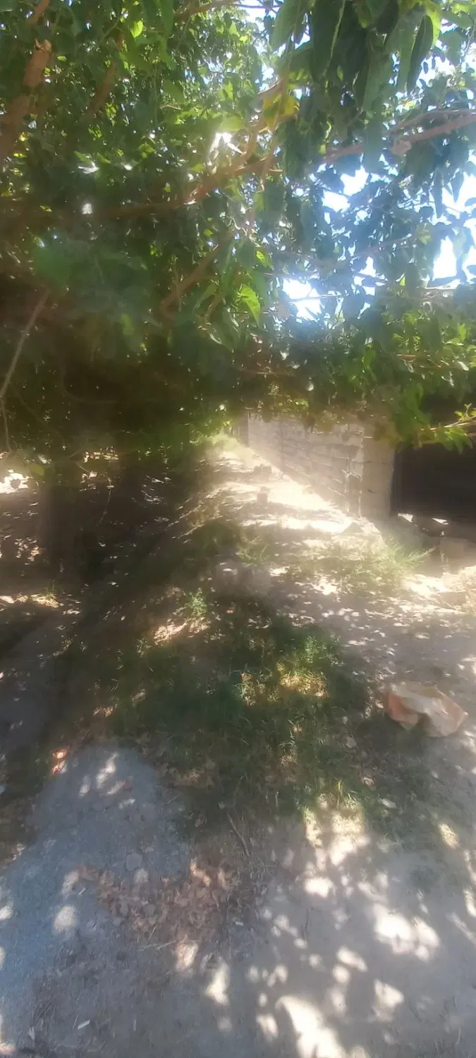 باغ چهاردیواری