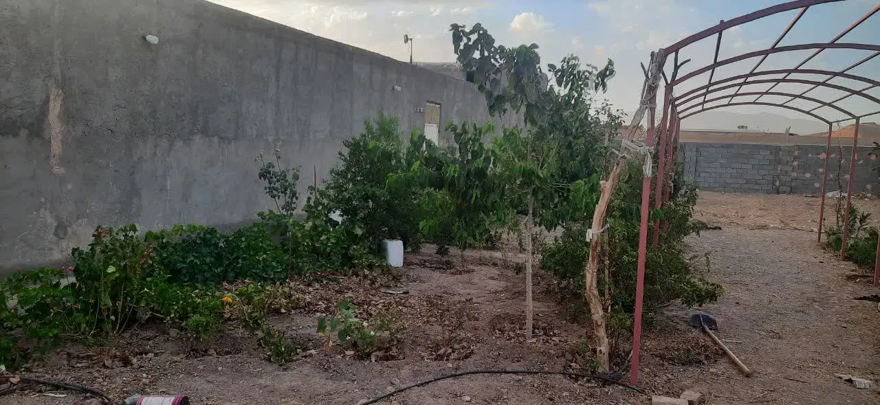 باغ در خسروجرد به همراه یک میلیارد وام ۴درصد