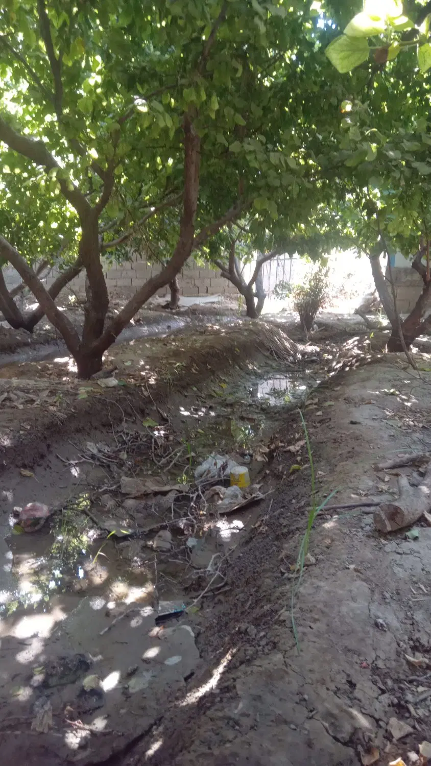 باغچه ،باغ،باغ چه نزدیکترین لوکیشن به تهران