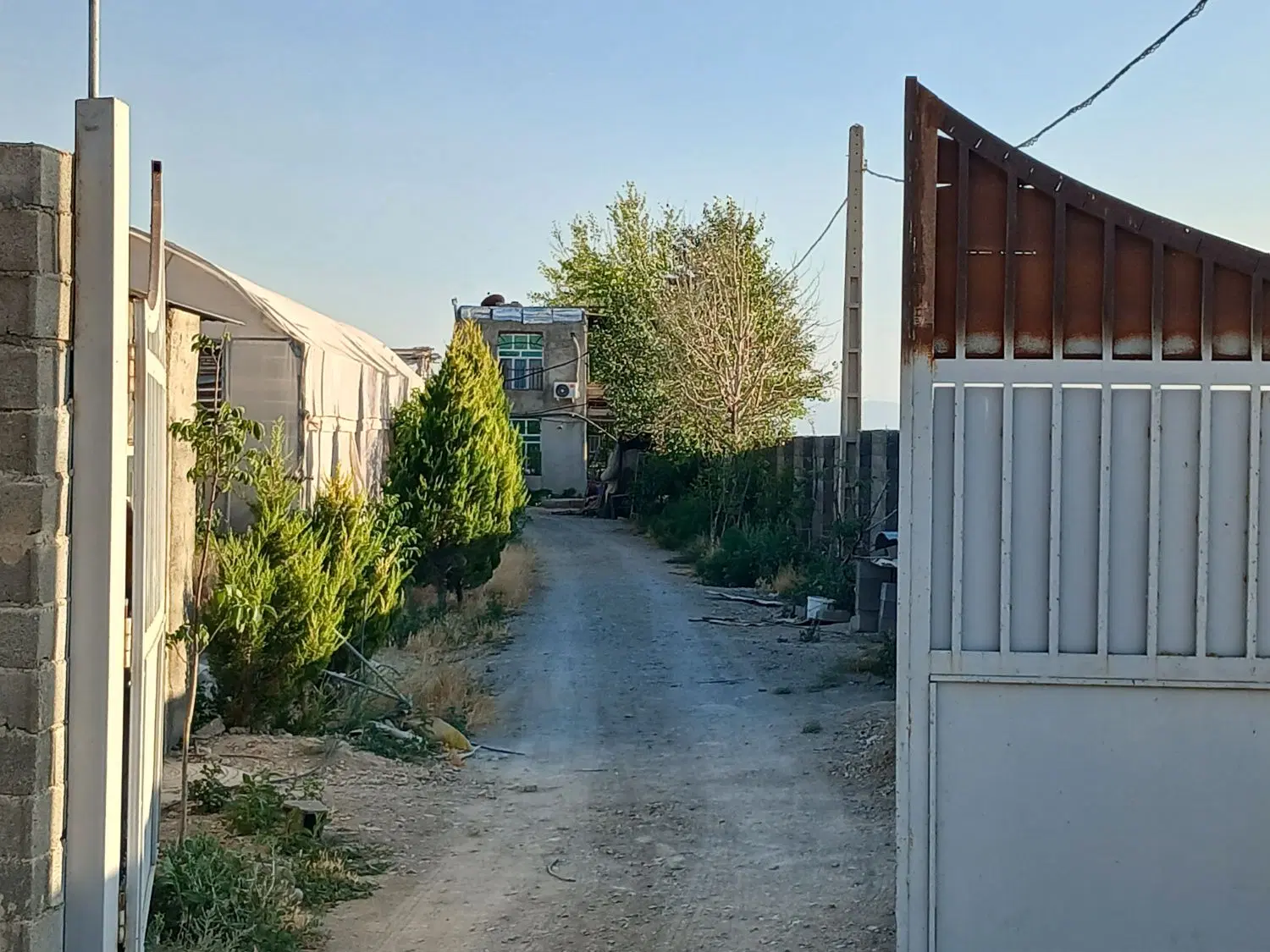 فروش زمین کشاورزی