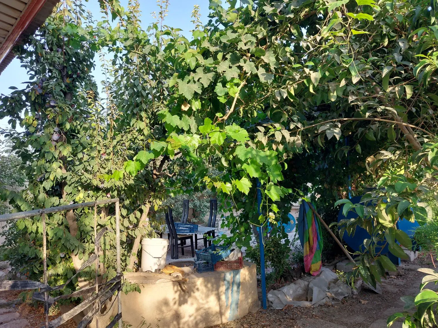 باغ بهاری