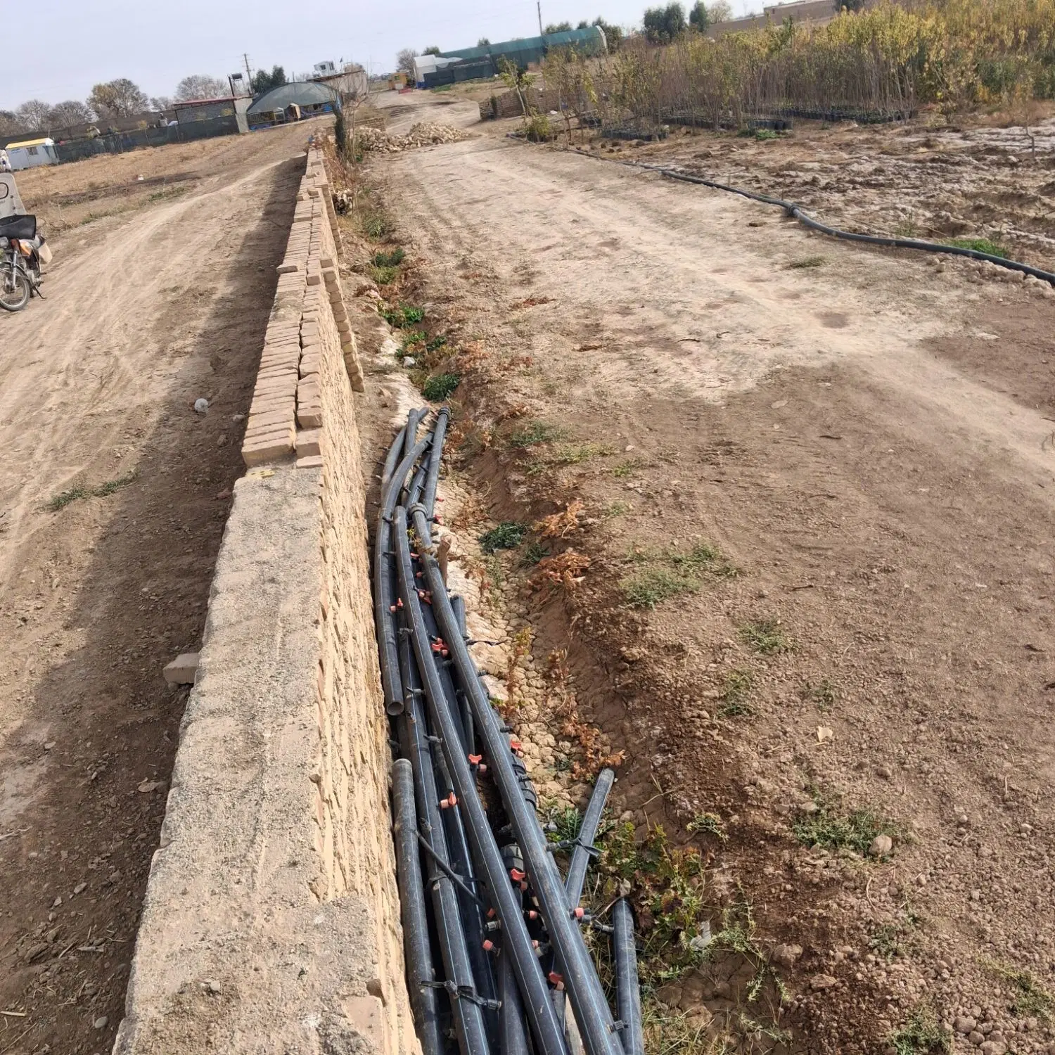زمین کشاورزی