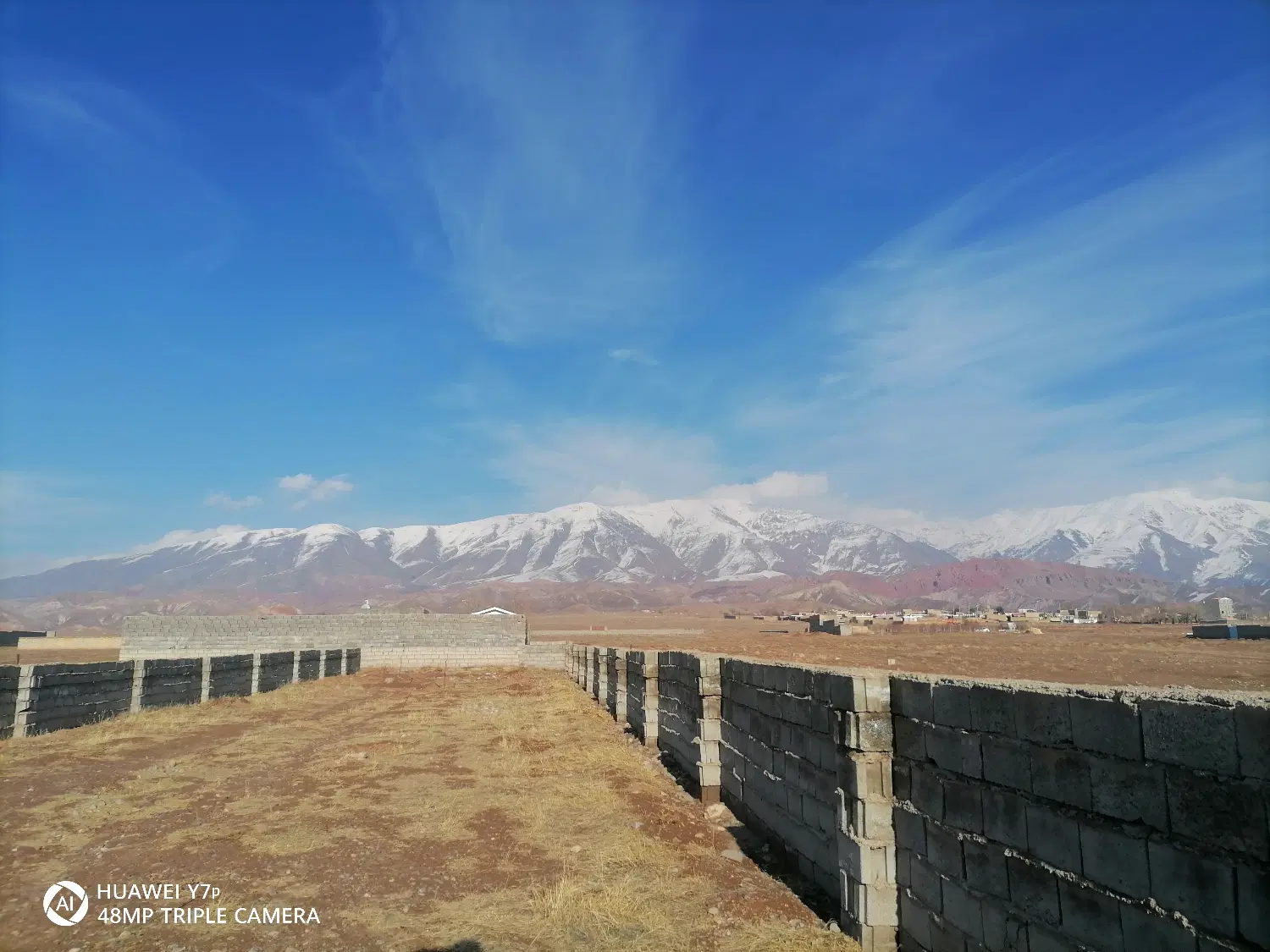 زمین باغی