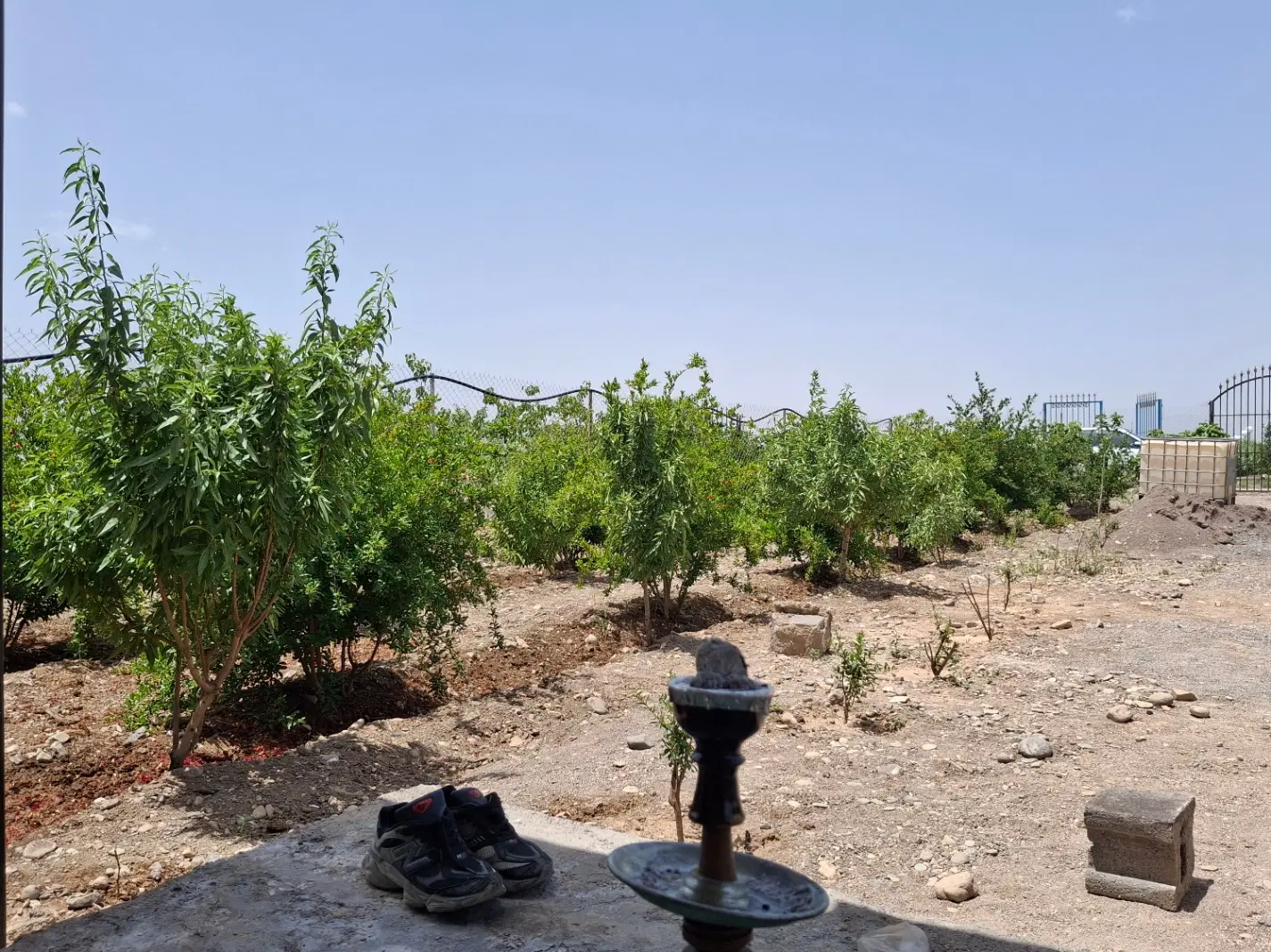 باغچه ۵۰۰متری محمودآباد