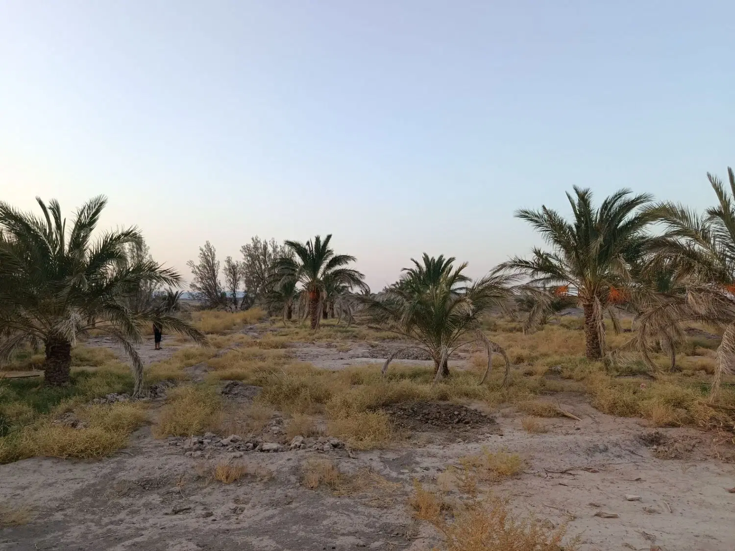 باغ پشترود(حسین اباد)