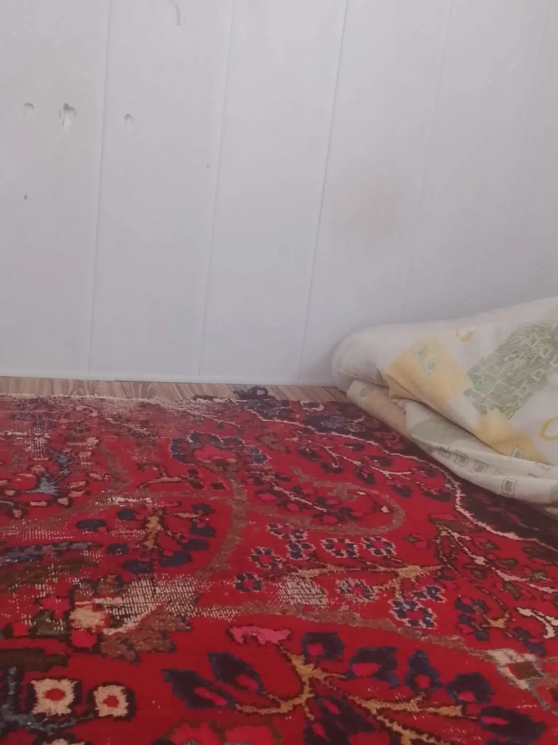 همخونه میشم
