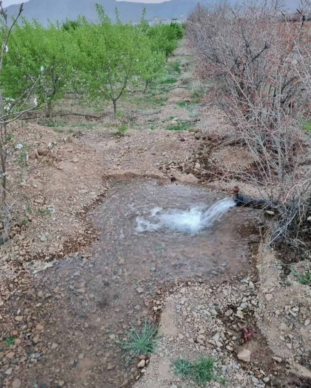 باغ ۱۰۰۰متری مسکن مهر فولادشهر