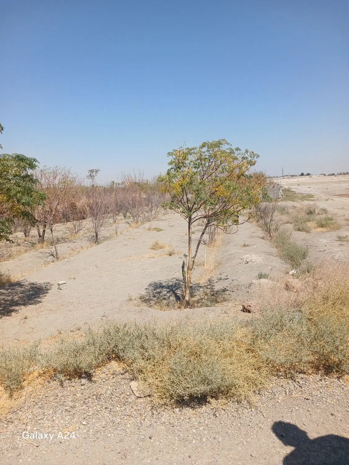 ۱۱۰۰ متر زمین کنار کانال آب