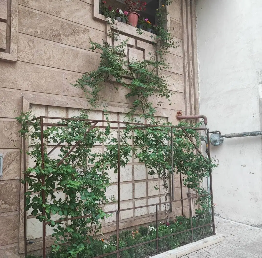 اجاره واحد مسکونی