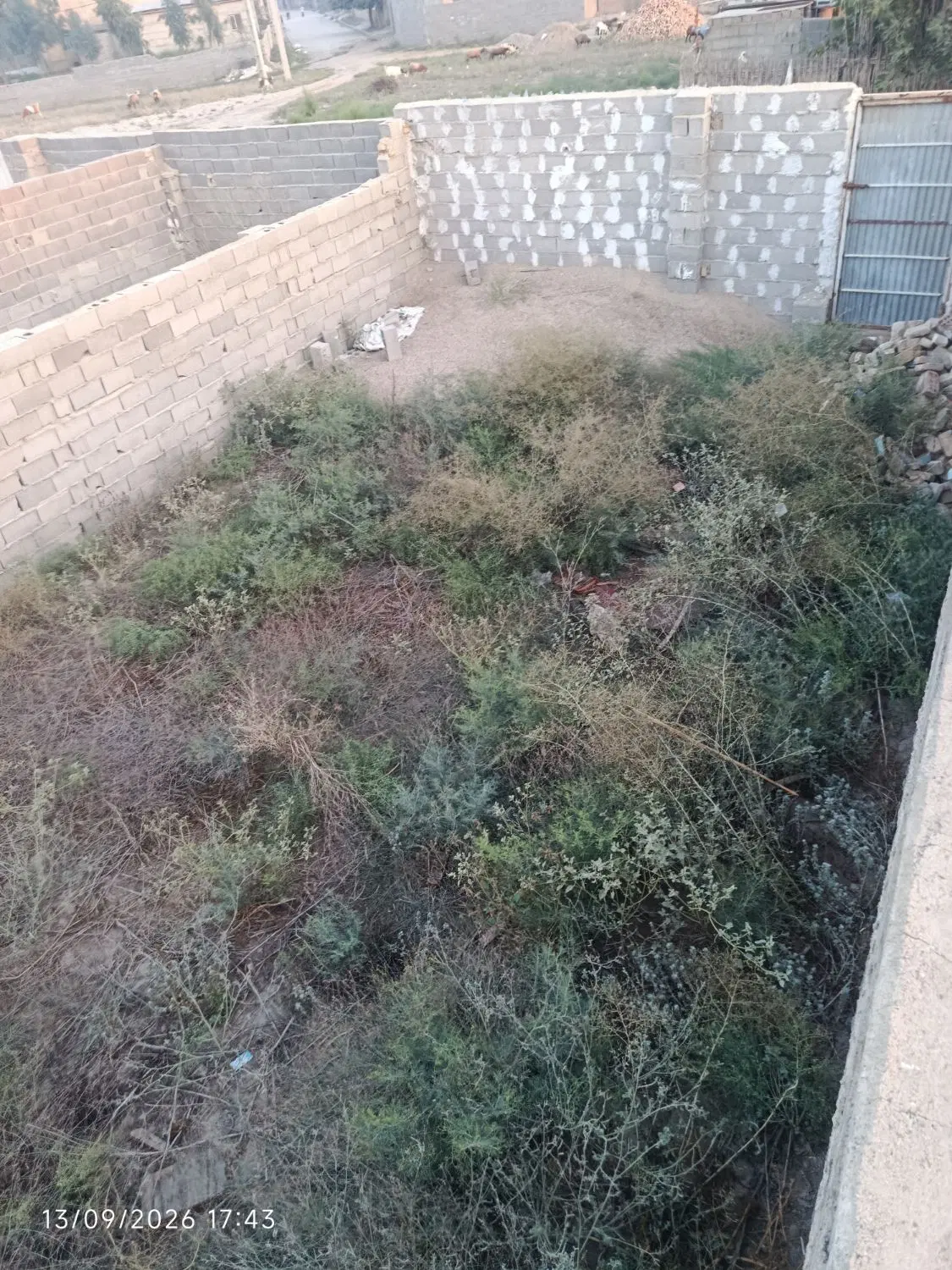 زمین