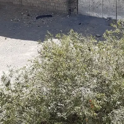 زمین ۴دیواری همت آباد