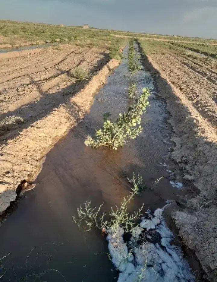 زمین کشاورزی