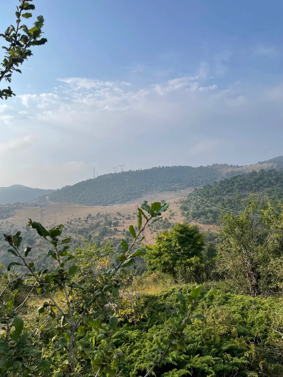 زمین کشاورزی