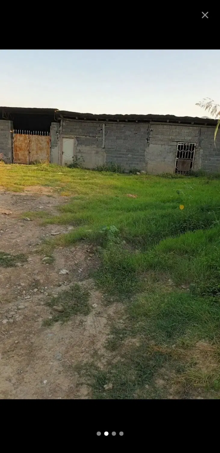 اجاره دامداری روستای زرینگل