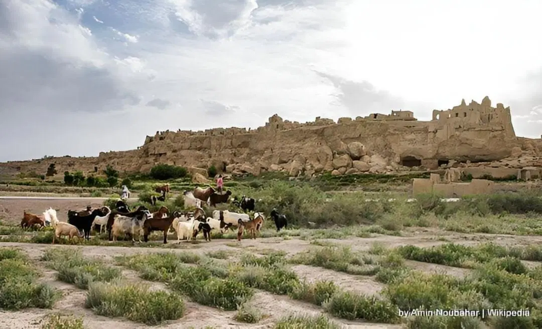 فروش ۶۵۰ متر ملک کلنگی با قابلیت ساخت بومگردی