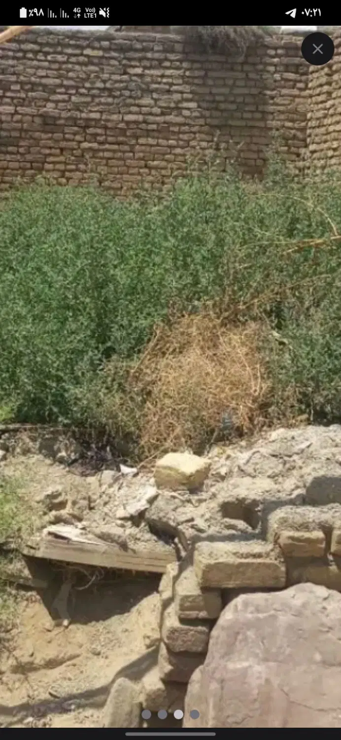 زمین