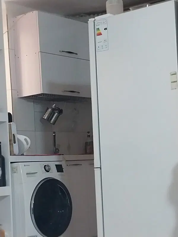 نیازمند همخونه خانم هستم