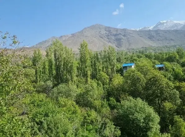 زمین فروشی