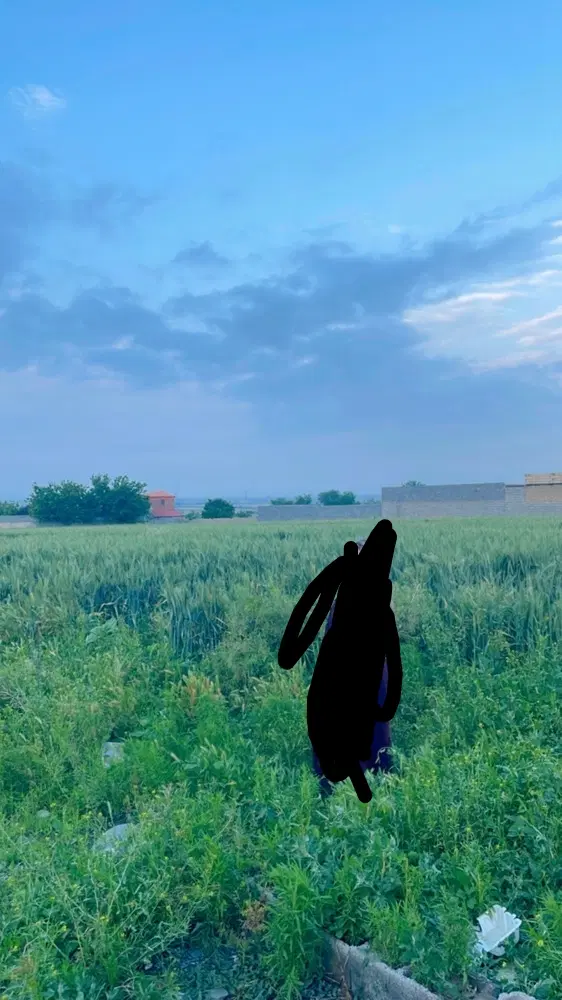 زمین 1000 متری کشاورزی معاوضه با ماشین