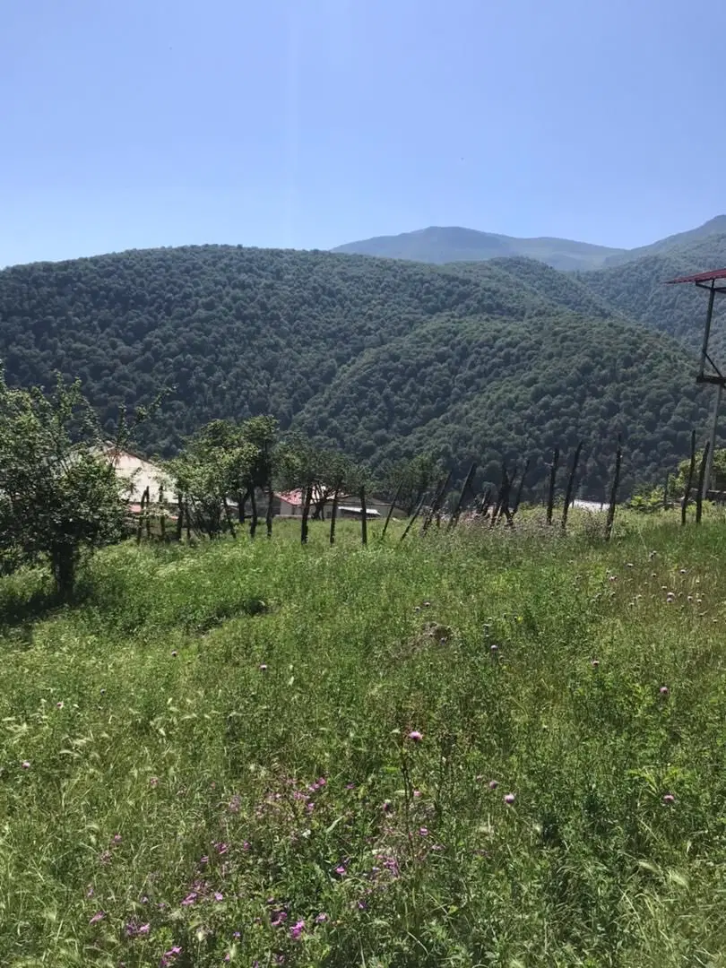 زمین مسکونی درشهرستان سوادکوه