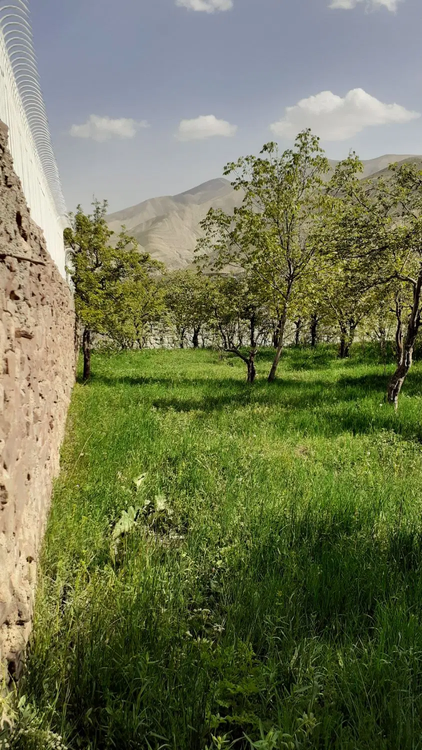 زمین
