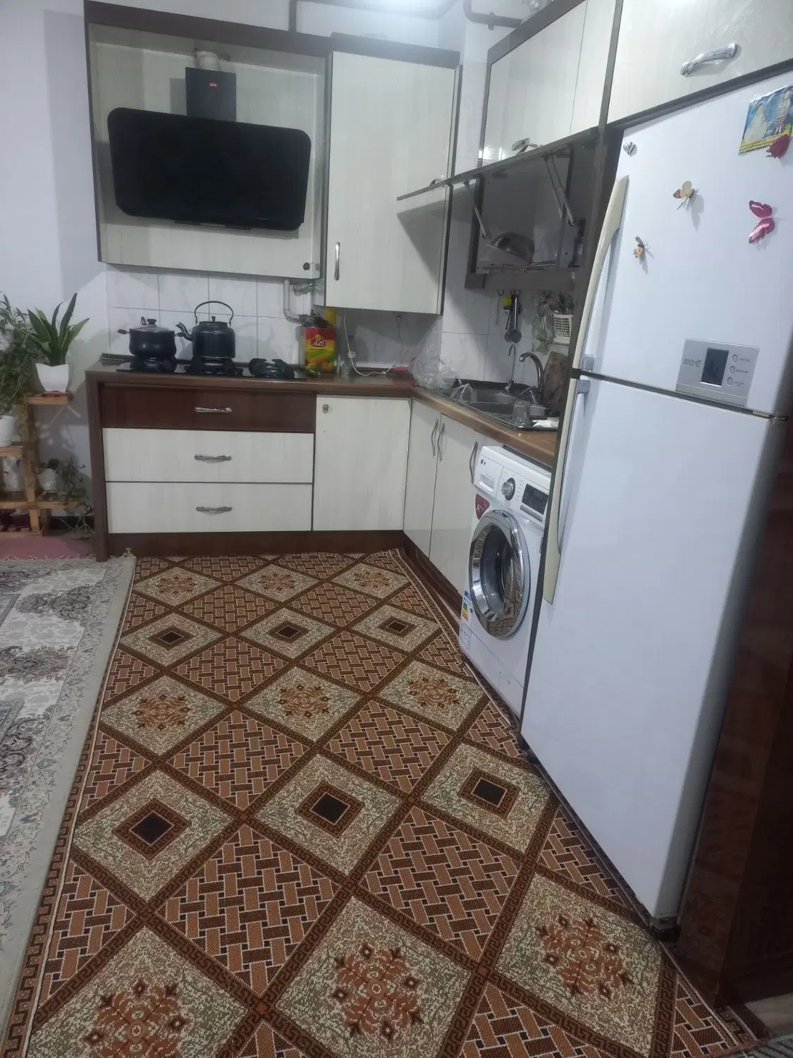 شهرک گلستان خیابان مولوی