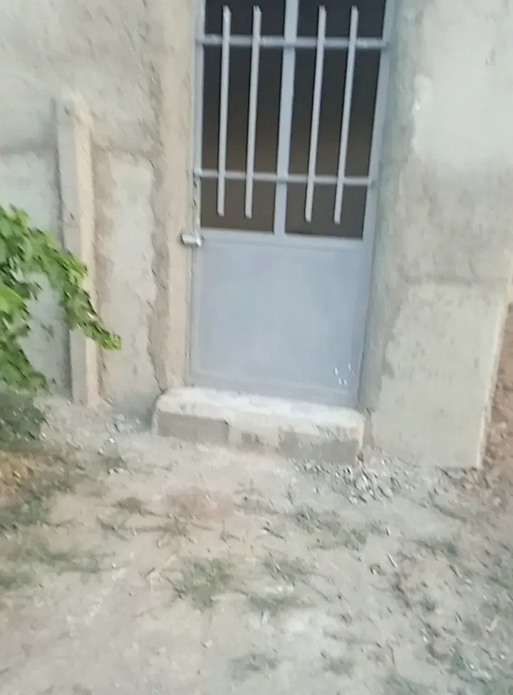 فروش زمین گلخانه وباغ