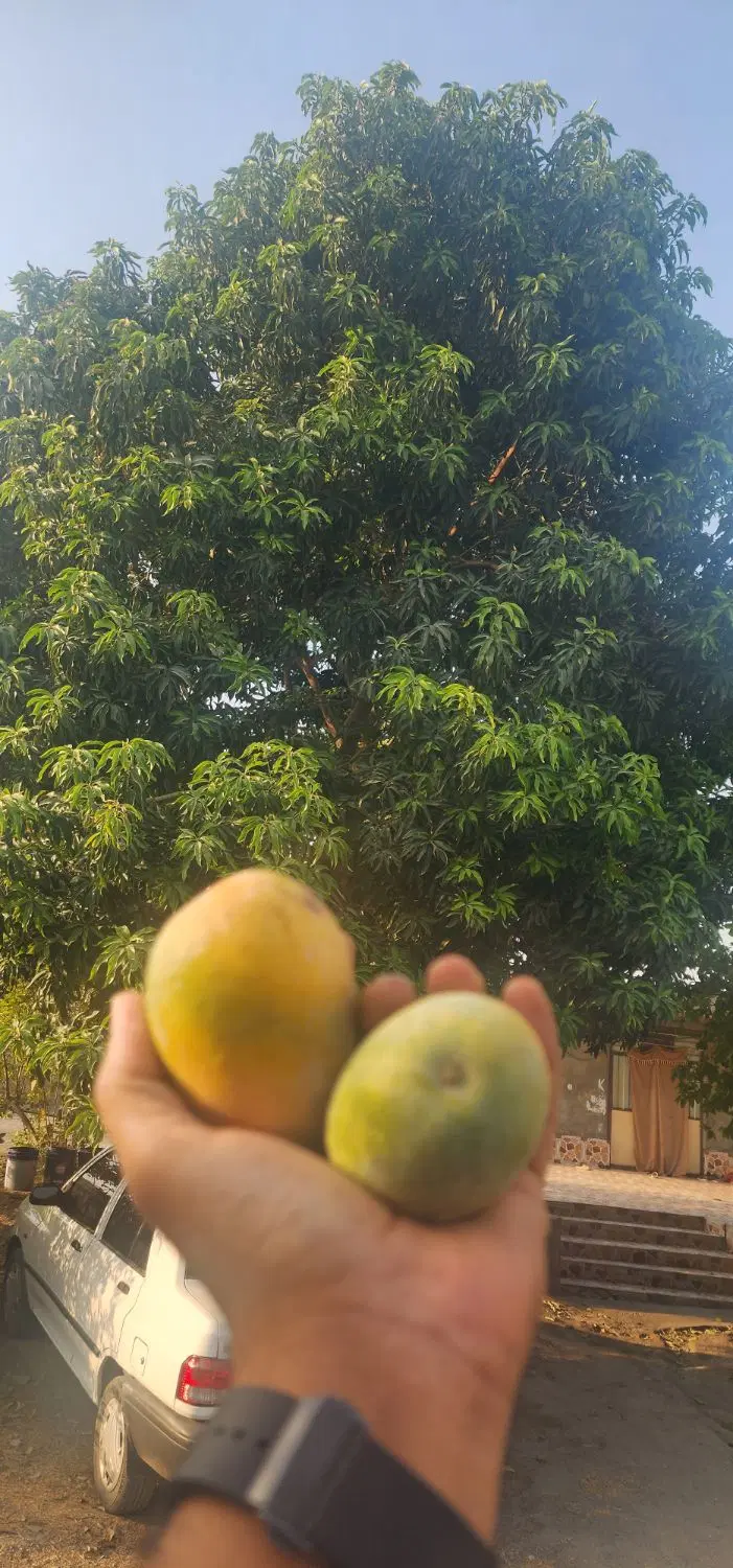 فروش باغ ویلا روستای نوبند